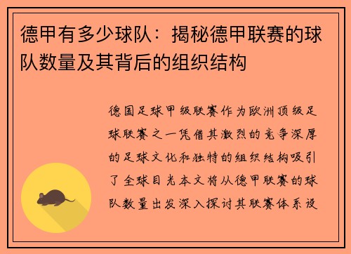 德甲有多少球队:揭秘德甲联赛的球队数量及其背后的组织结构